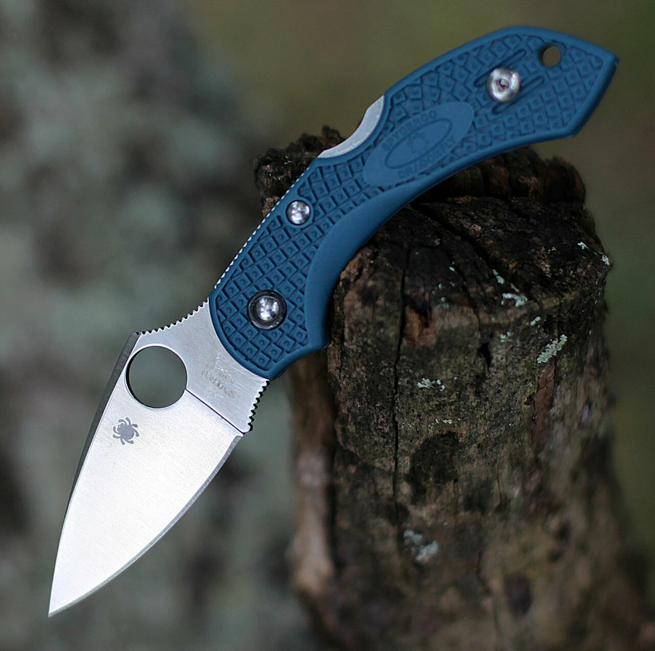 Best reviews of ๐ฅ Spyderco Knives Spyderco Dragonfly FRN K390 C28F2K390, 2.29" K390 Steel Plain Blade, Blue FRN Handle ๐ 1 Best reviews of ๐ฅ Spyderco Knives Spyderco Dragonfly FRN K390 C28F2K390, 2.29" K390 Steel Plain Blade, Blue FRN Handle ๐