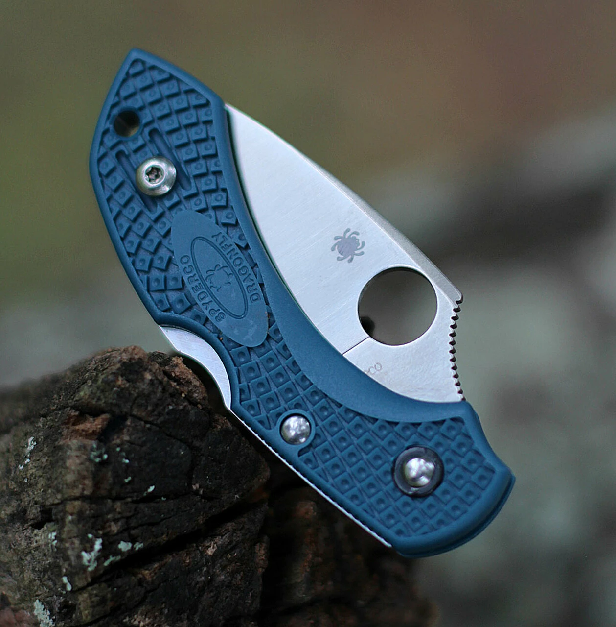 Best reviews of ๐ฅ Spyderco Knives Spyderco Dragonfly FRN K390 C28F2K390, 2.29" K390 Steel Plain Blade, Blue FRN Handle ๐ 4 Best reviews of ๐ฅ Spyderco Knives Spyderco Dragonfly FRN K390 C28F2K390, 2.29" K390 Steel Plain Blade, Blue FRN Handle ๐ - Image 4