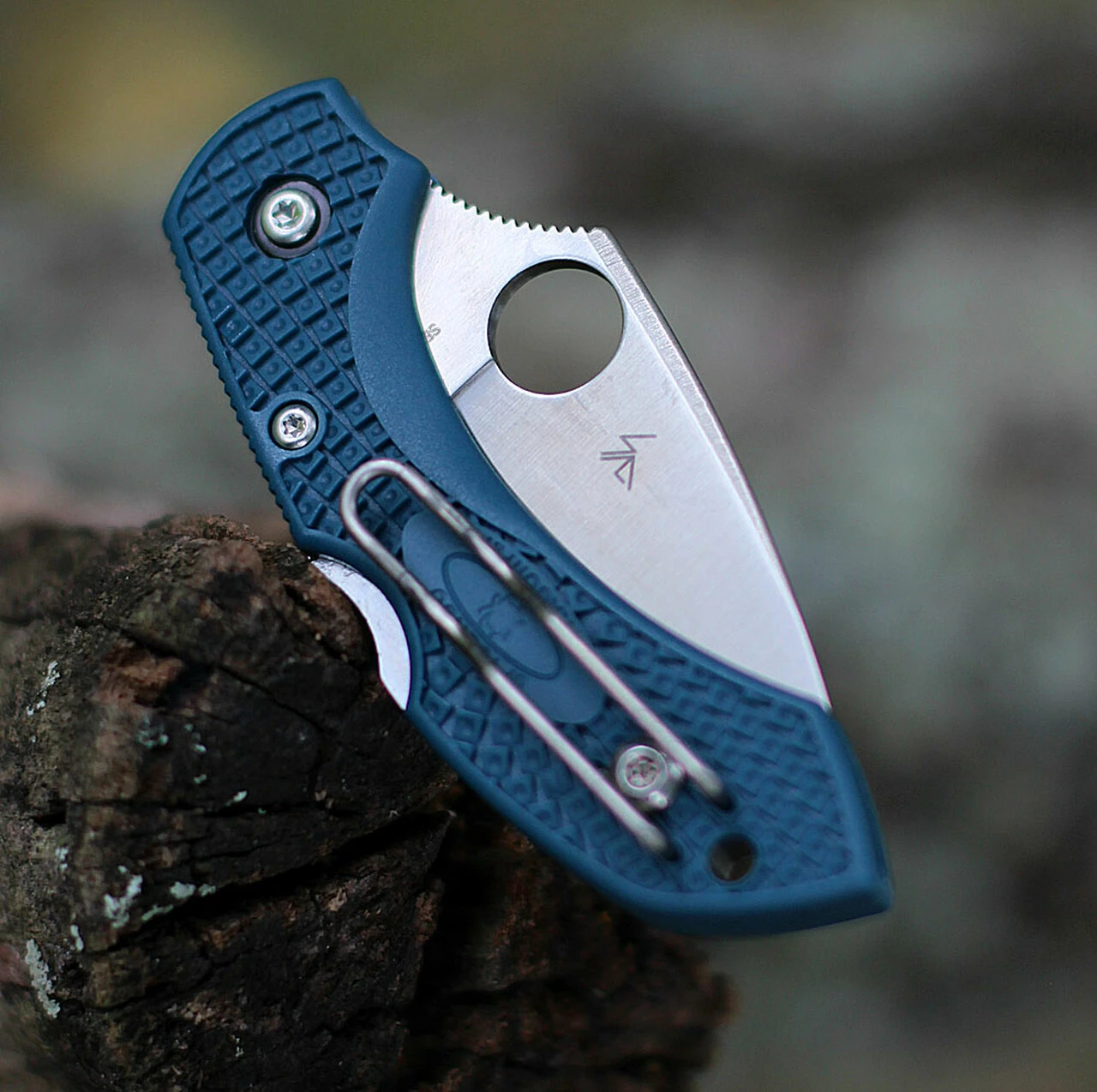 Best reviews of ๐ฅ Spyderco Knives Spyderco Dragonfly FRN K390 C28F2K390, 2.29" K390 Steel Plain Blade, Blue FRN Handle ๐ 3 Best reviews of ๐ฅ Spyderco Knives Spyderco Dragonfly FRN K390 C28F2K390, 2.29" K390 Steel Plain Blade, Blue FRN Handle ๐ - Image 3