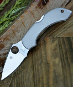 Flash Sale 💯 Spyderco Knives Spyderco C28P Dragonfly, 2.313" VG-10 Plain Blade, Stainless Handle 😍