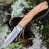 Hot Sale 🧨 Castillo Knives Torre Lockback Folding, C3OLW, 3" Sandvik 14C28N Blade, Olivewood Handles 🌟