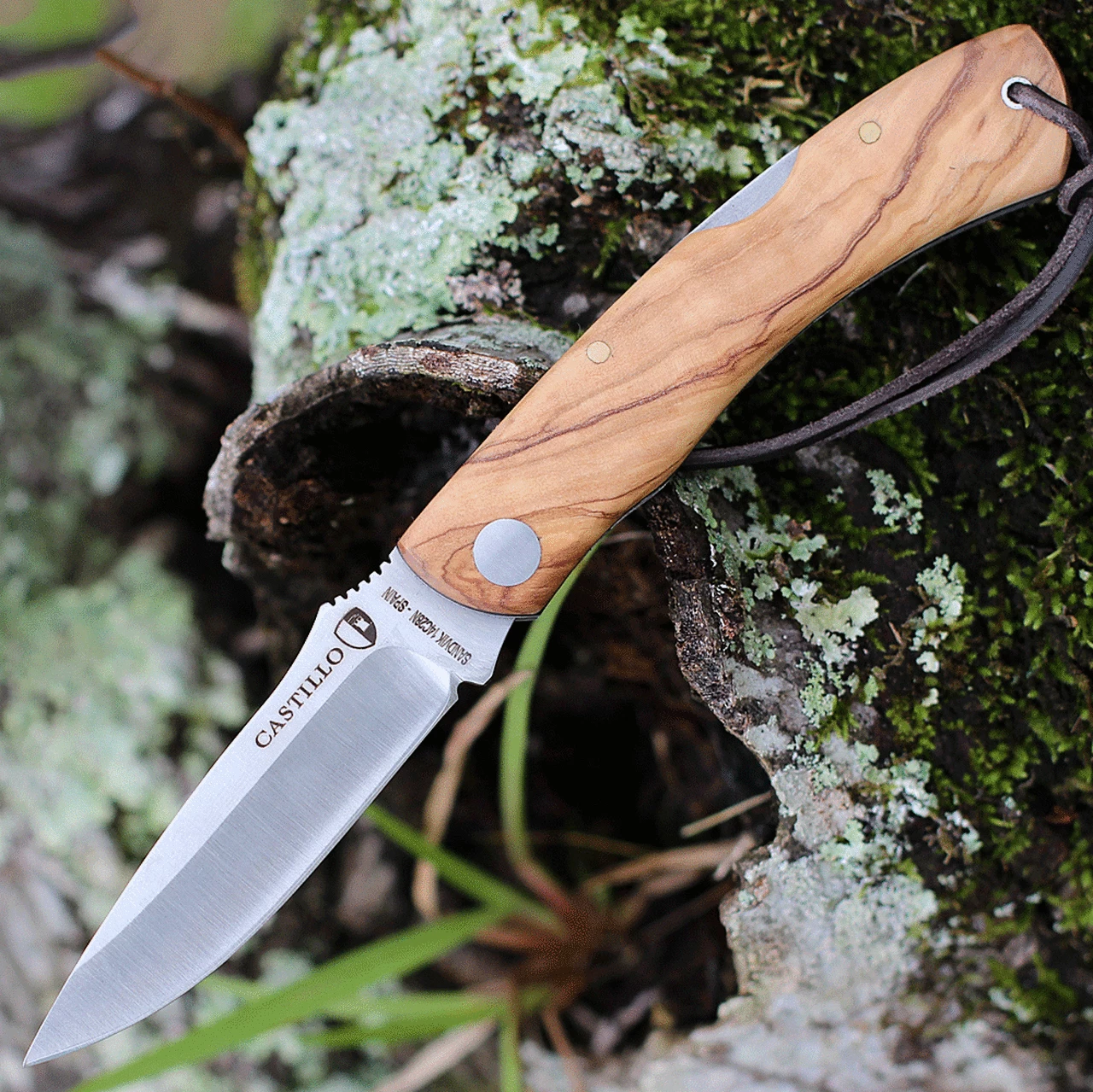Hot Sale ๐งจ Castillo Knives Torre Lockback Folding, C3OLW, 3" Sandvik 14C28N Blade, Olivewood Handles ๐ 1 Hot Sale ๐งจ Castillo Knives Torre Lockback Folding, C3OLW, 3" Sandvik 14C28N Blade, Olivewood Handles ๐