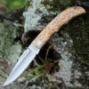 Wholesale 🎁 Castillo Knives Castillo Tagus - Curly Birch Wood (3.6" 14C28N Satin) C5CUB 👏