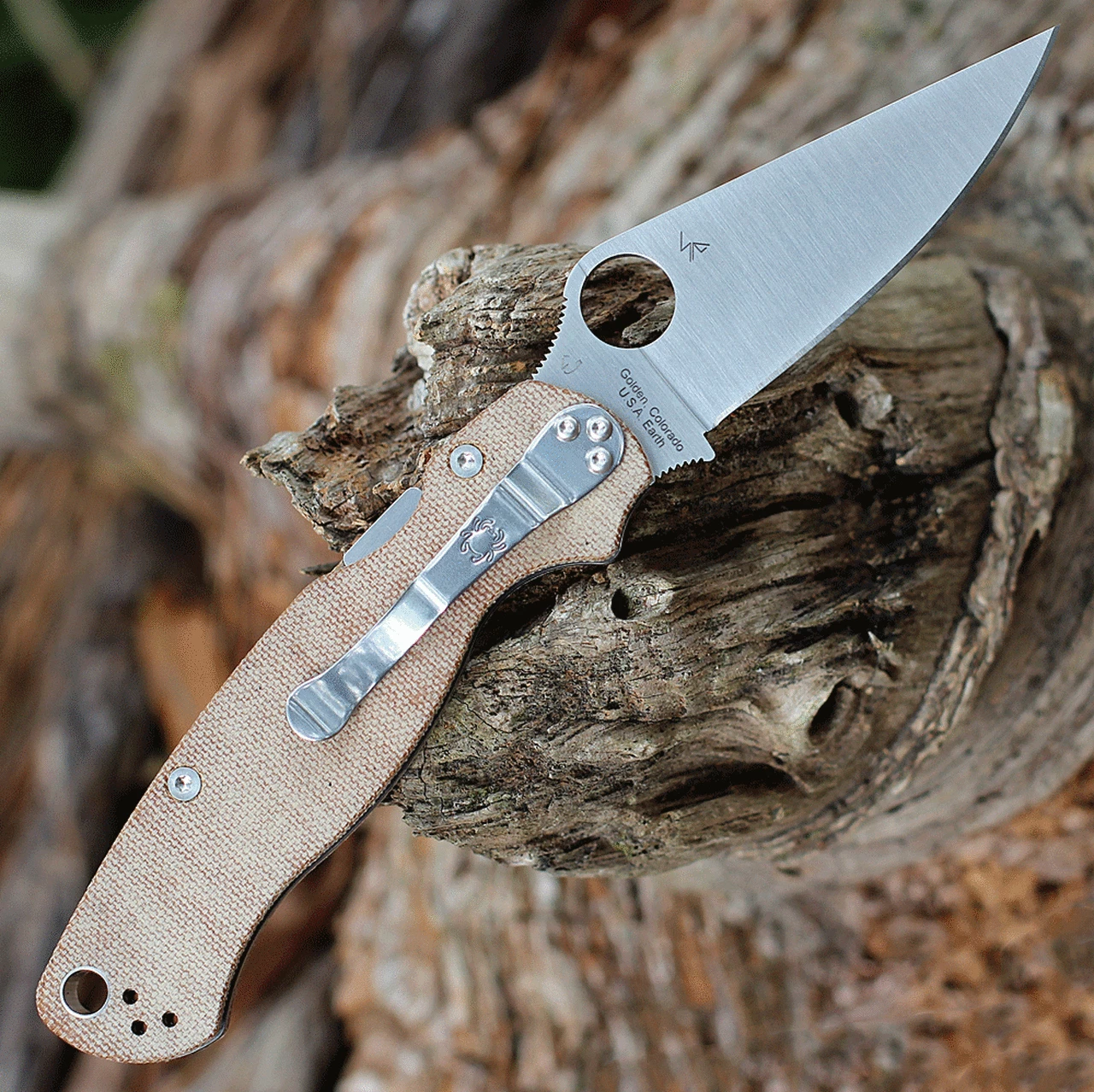 Deals 🌟 Spyderco Knives Spyderco Para Military 2 C81MPCW2, 3.47" CPM Cru-Wear Satin Plain Blade, Brown Micarta Handle 🔥 2 Deals 🌟 Spyderco Knives Spyderco Para Military 2 C81MPCW2, 3.47" CPM Cru-Wear Satin Plain Blade, Brown Micarta Handle 🔥 - Image 2