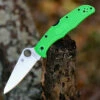 Buy 👏 Spyderco Knives Spyderco Pacific Salt 2 C91FPGR2, 3.78" LC200N Satin Plain Blade, Green FRN Handle ✨