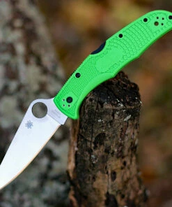 Buy 👏 Spyderco Knives Spyderco Pacific Salt 2 C91FPGR2, 3.78" LC200N Satin Plain Blade, Green FRN Handle ✨