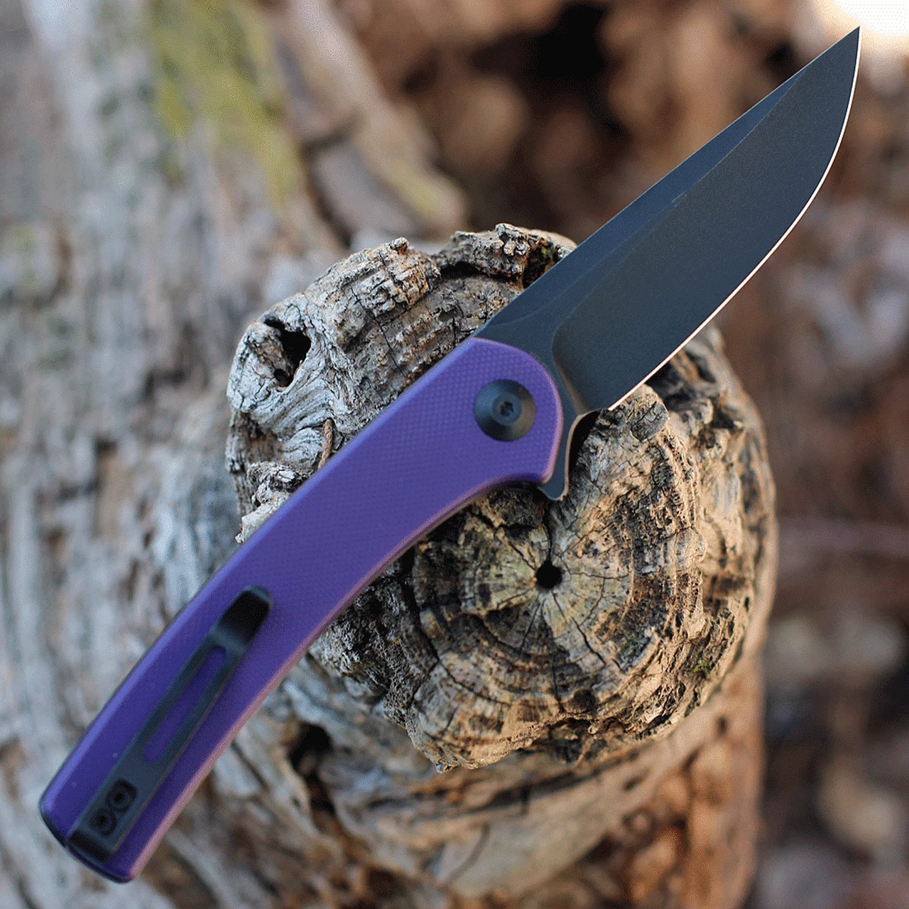 Best Pirce ✔️ CIVIVI Knives CIVIVI Mini Asticus - Purple G-10 (3.25" Black SW) C19026B-4 ⭐ 2 Best Pirce ✔️ CIVIVI Knives CIVIVI Mini Asticus - Purple G-10 (3.25" Black SW) C19026B-4 ⭐ - Image 2