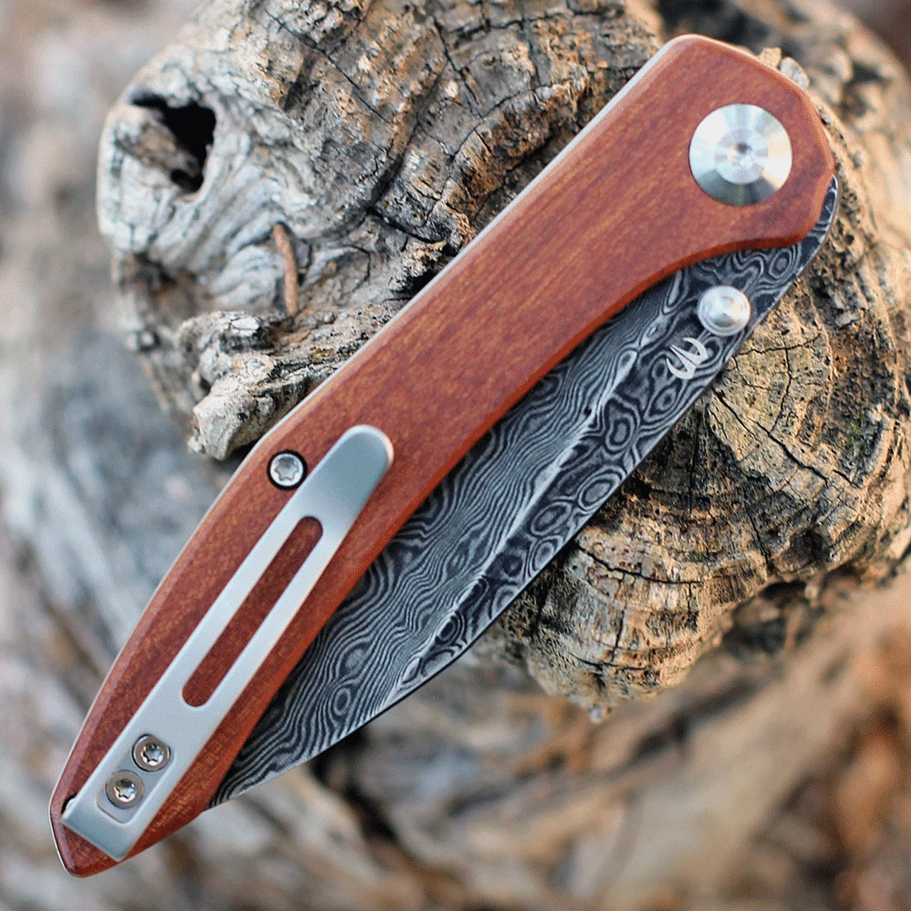 Best deal ✨ CIVIVI Knives CIVIVI Hadros - Cuibourtia Wood (3.35" Dam.) C20004-DS1 👏 4 Best deal ✨ CIVIVI Knives CIVIVI Hadros - Cuibourtia Wood (3.35" Dam.) C20004-DS1 👏 - Image 4