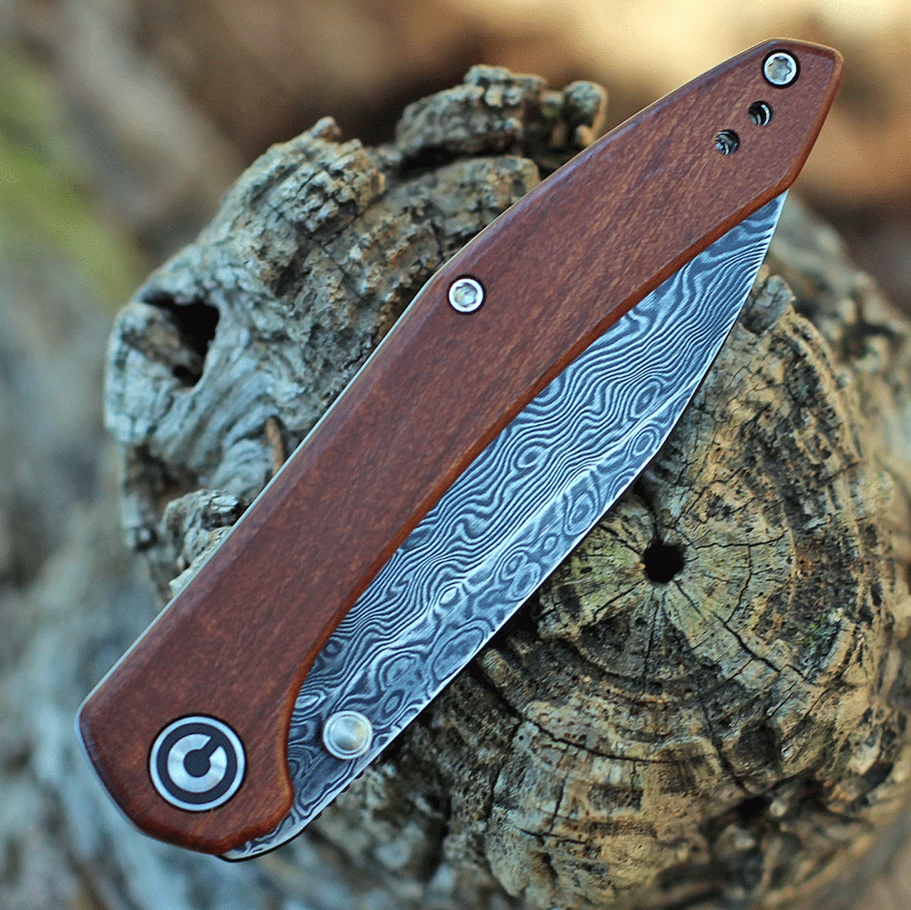 Best deal ✨ CIVIVI Knives CIVIVI Hadros - Cuibourtia Wood (3.35" Dam.) C20004-DS1 👏 3 Best deal ✨ CIVIVI Knives CIVIVI Hadros - Cuibourtia Wood (3.35" Dam.) C20004-DS1 👏 - Image 3