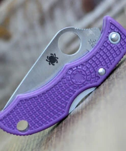 Best Sale 🌟 Spyderco Knives Spyderco Ladybug Lightweight, CLPRP3, Purple FRN, Plain Edge 👍 -Automatic Knives shop CLPRP3.7 68620.1586535243