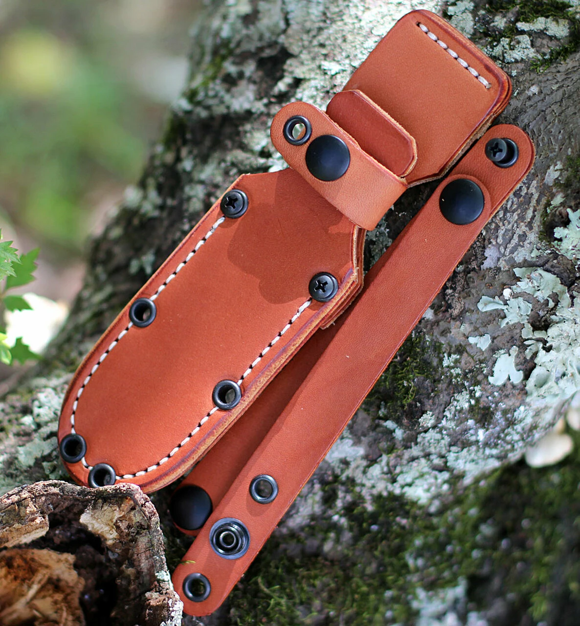 Best Pirce 🔥 Bark River Knives Chute Knife 07152MGC, 4.25" CPM-154 Drop Point Plain Blade, Green Canvas Handle 👍 3 Best Pirce 🔥 Bark River Knives Chute Knife 07152MGC, 4.25" CPM-154 Drop Point Plain Blade, Green Canvas Handle 👍 - Image 3