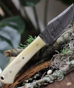 Hot Sale ⌛ Damascus Blade Knife Damascus Short Skinner White Bone, 3" Damacus Blade, White Bone Handle, Leather sheath 🌟 -Automatic Knives shop DM1193BO.1 51901.1618324281