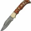 Flash Sale 🧨 Damascus Blade Knife Damascus Blades Lockback - Twisted Wood (3" Damascus) DM-1285 👏