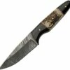 Best reviews of 💯 Damascus Blade Knife Damascus Blades - Buffalo/Stag Bone (4.5" Damascus) 1293SG 🎉