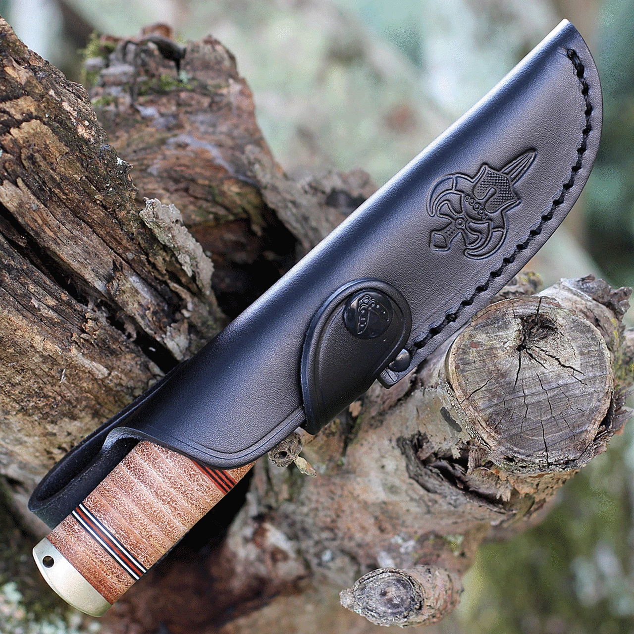 Promo 🔔 Fallkniven Idun Northern Lights - Stacked Leather (Cowry x Damascus) NL5cxL 🔔 3 Promo 🔔 Fallkniven Idun Northern Lights - Stacked Leather (Cowry x Damascus) NL5cxL 🔔 - Image 3