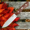 Promo 🔔 Fallkniven Taiga Forester 1 - Desert Ironwood (4.75" Lam. CoS) Zytel Sheath TF1Z 😀