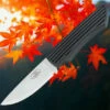 Coupon ❤️ Fallkniven Taiga Hunter 2, 3.30" Lam. CoS Plain Blade, Black Thermorun Handle w/ Zytel Sheath 🎁