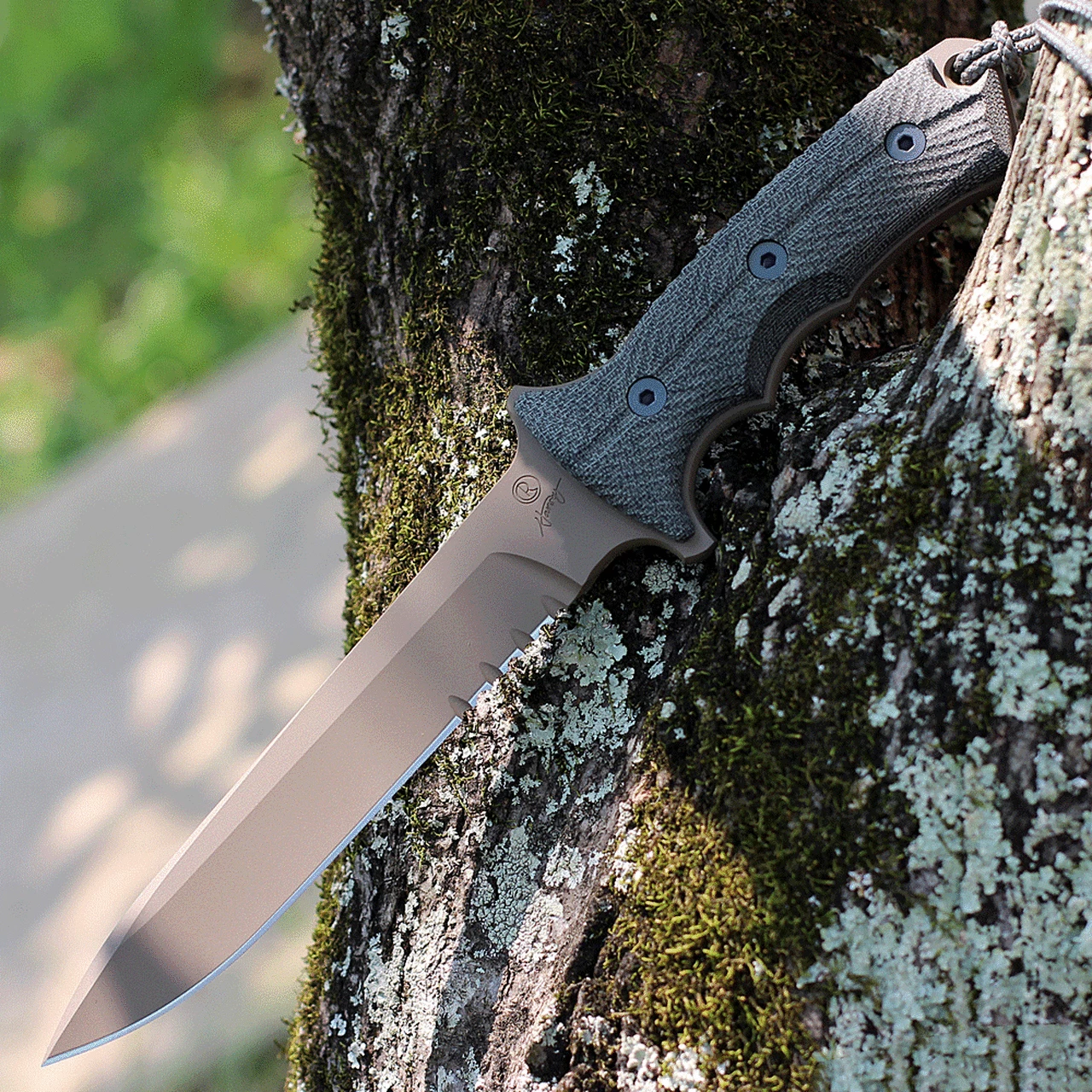 Top 10 🔔 Chris Reeve Green Beret 7" Serrated with Flat Dark Earth PVD (GB7-1003) 👏 1 Top 10 🔔 Chris Reeve Green Beret 7" Serrated with Flat Dark Earth PVD (GB7-1003) 👏