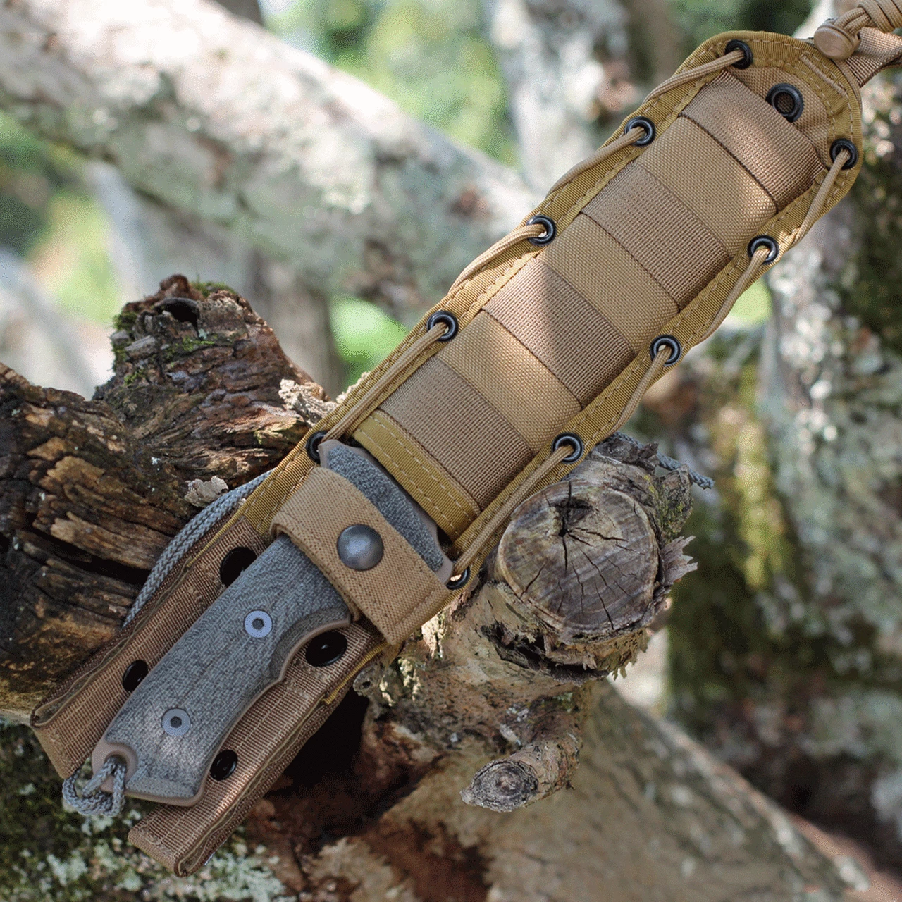 Top 10 🔔 Chris Reeve Green Beret 7" Serrated with Flat Dark Earth PVD (GB7-1003) 👏 3 Top 10 🔔 Chris Reeve Green Beret 7" Serrated with Flat Dark Earth PVD (GB7-1003) 👏 - Image 3