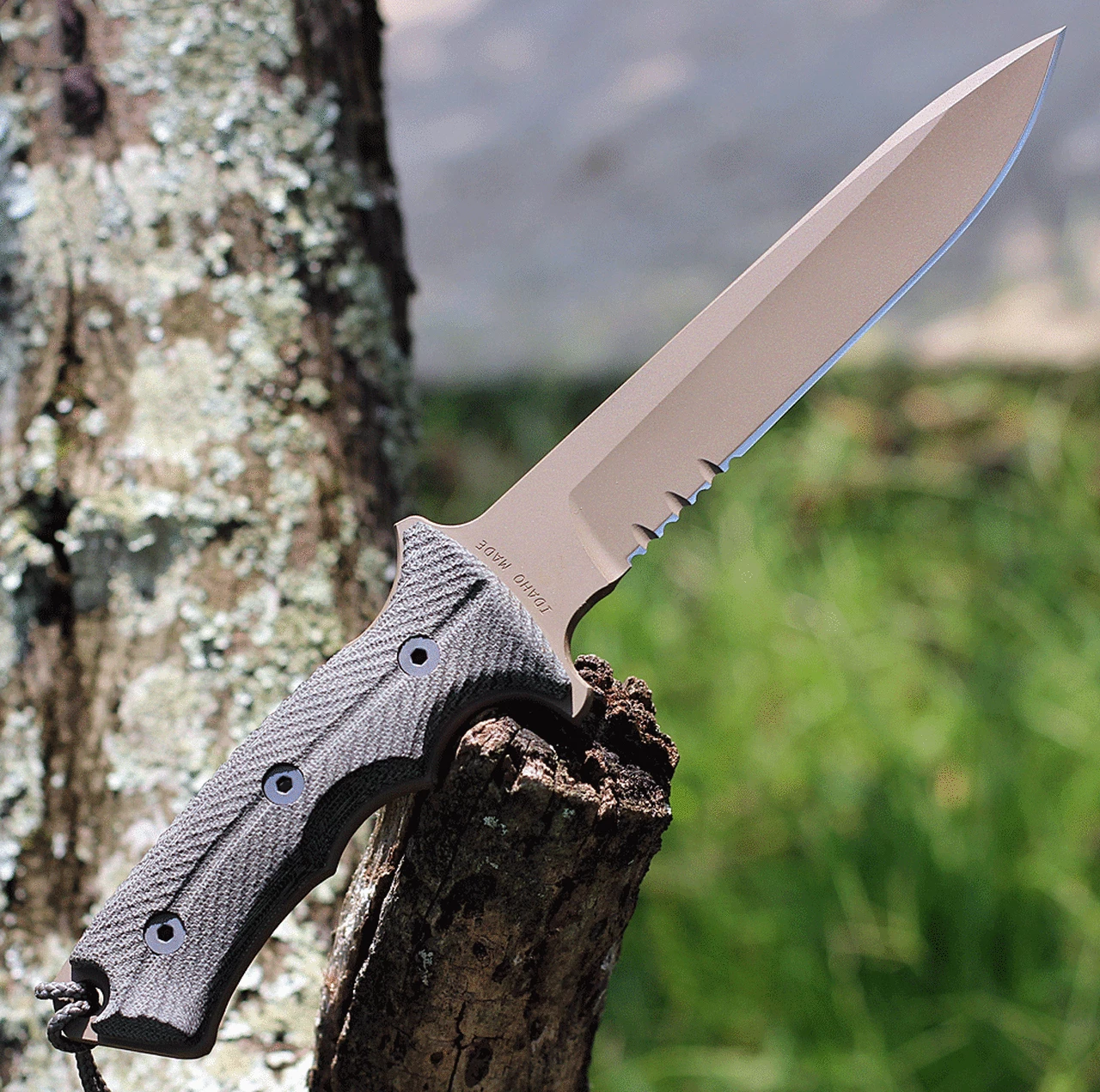 Top 10 🔔 Chris Reeve Green Beret 7" Serrated with Flat Dark Earth PVD (GB7-1003) 👏 2 Top 10 🔔 Chris Reeve Green Beret 7" Serrated with Flat Dark Earth PVD (GB7-1003) 👏 - Image 2