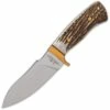 Coupon 👏 Gil Hibben Hibben Stag Chugach Hunter Knife Special Edition - Stag (4.5" 1.4116 German Steel) GH5084GS 😍