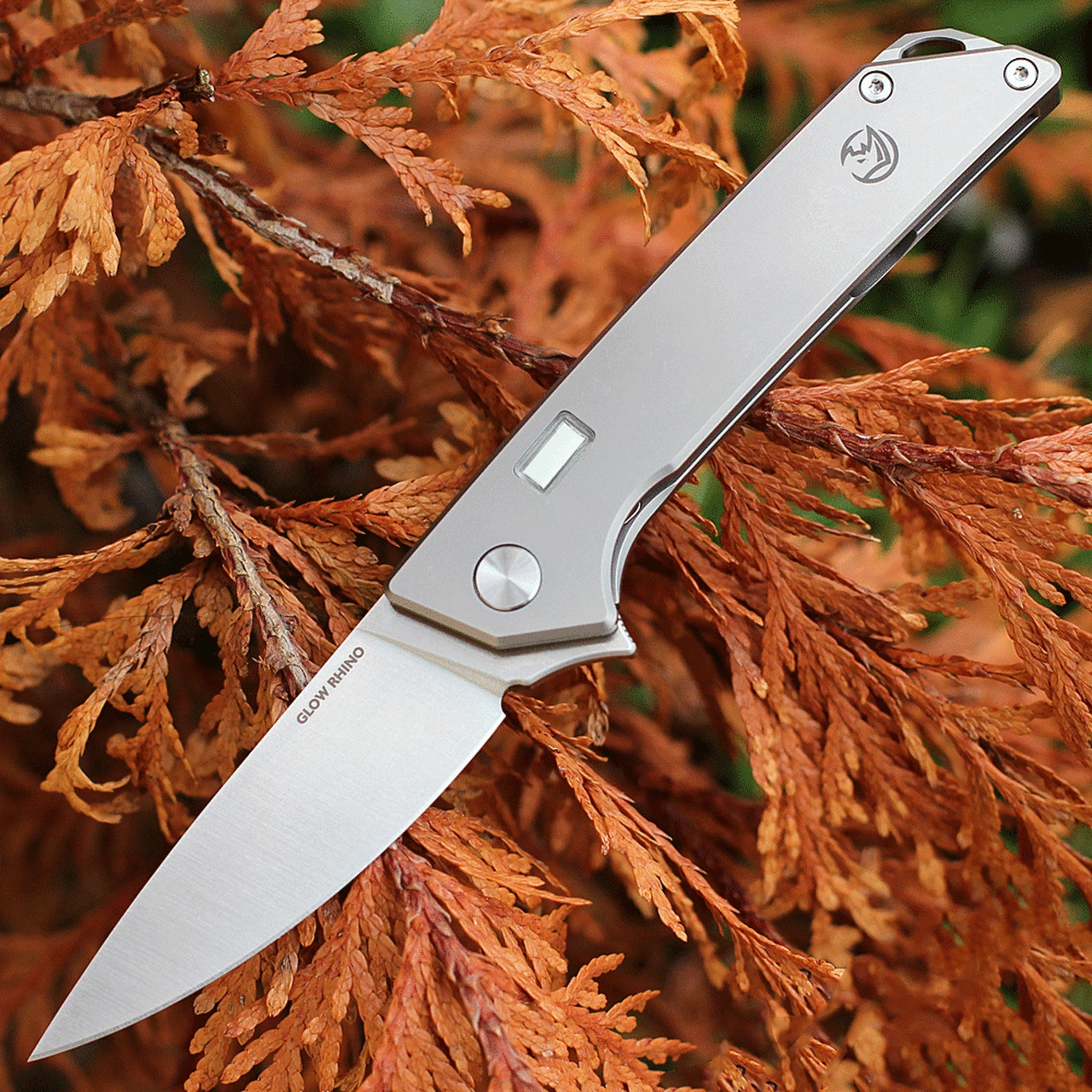 Top 10 🔥 Glow Rhino Reactor - Matte Titanium w/ Tritium (2.7" S35VN Satin) 101-Ti-S35VN-XG 🌟 1 Top 10 🔥 Glow Rhino Reactor - Matte Titanium w/ Tritium (2.7" S35VN Satin) 101-Ti-S35VN-XG 🌟