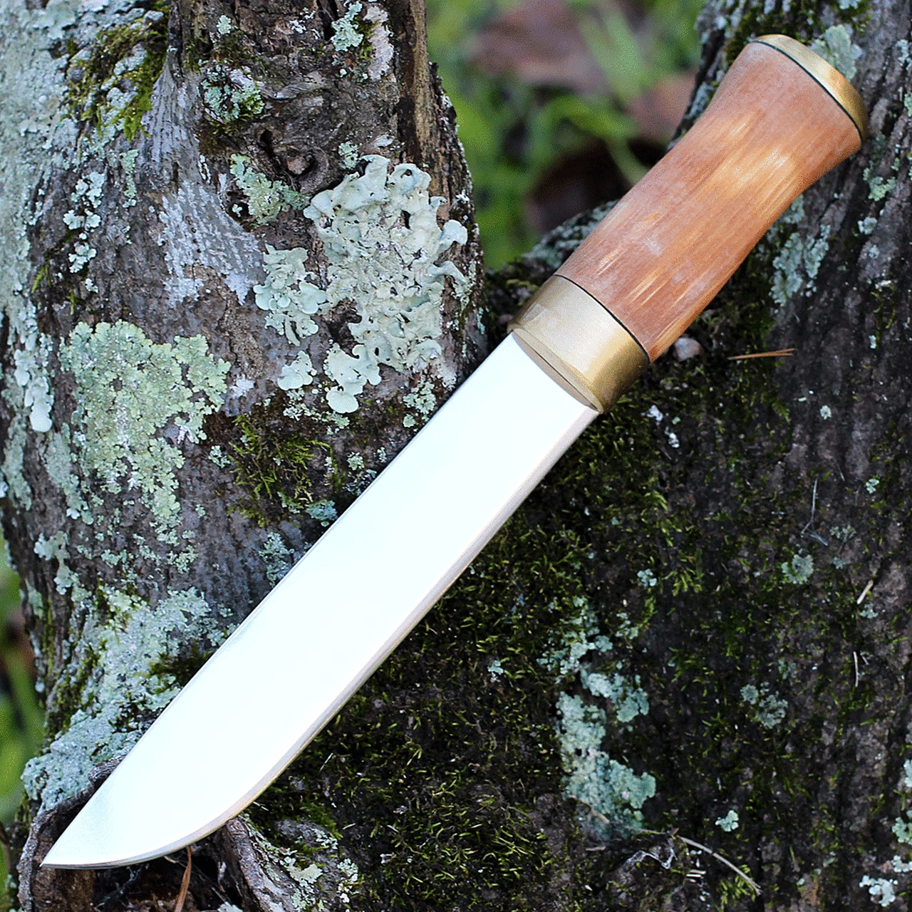 Best Pirce 🛒 Helle Lappland, 8.42 in. Sandvik 12C27 Stainless Steel Blade, Birch Handle 🎁 2 Best Pirce 🛒 Helle Lappland, 8.42 in. Sandvik 12C27 Stainless Steel Blade, Birch Handle 🎁 - Image 2