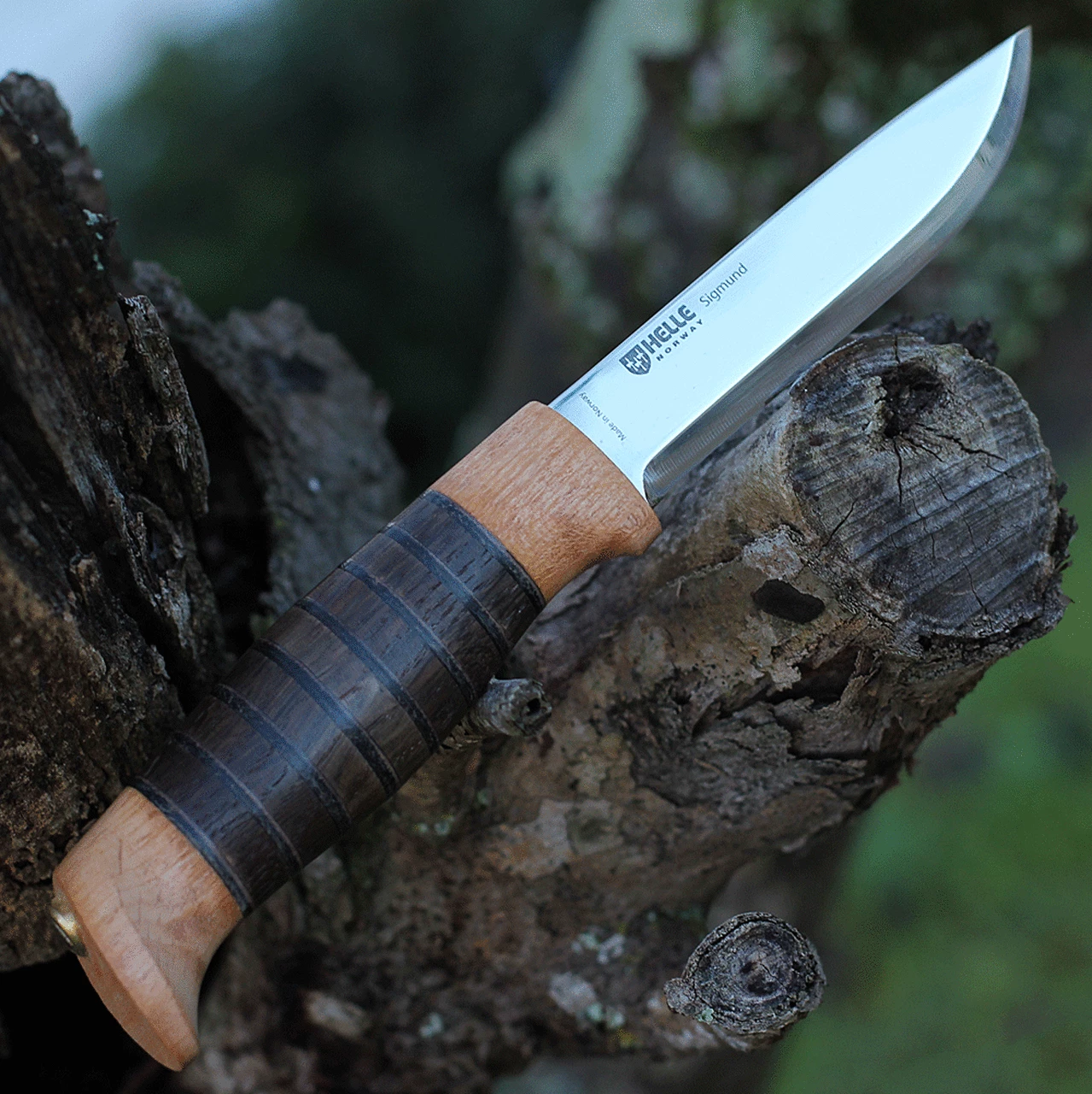 Cheap 🤩 Helle Sigmund, 4.21 in Triple Laminated Stainless Steel Blade, Beech, Leather, Kebony Handle ❤️ 1 Cheap 🤩 Helle Sigmund, 4.21 in Triple Laminated Stainless Steel Blade, Beech, Leather, Kebony Handle ❤️
