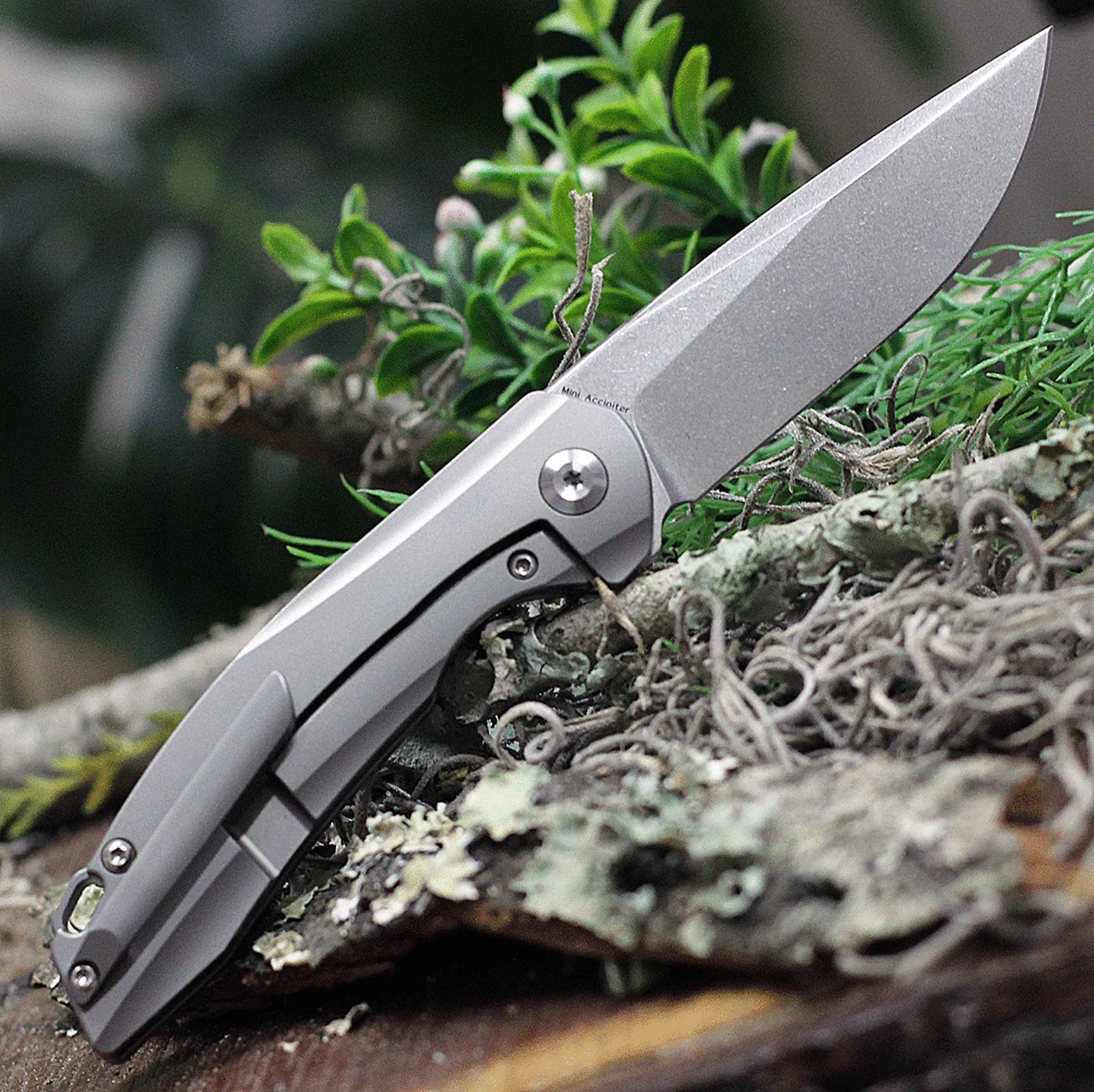 Budget 👍 Kansept Knives K2007A1 Mini Accipiter, 2.9" CPM-S35VN Stonewashed Plain Blade, Titanium/ OD Green Canvas Micarta Handle 🎉 2 Budget 👍 Kansept Knives K2007A1 Mini Accipiter, 2.9" CPM-S35VN Stonewashed Plain Blade, Titanium/ OD Green Canvas Micarta Handle 🎉 - Image 2