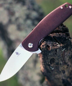 Budget 🛒 Kizer Cutlery Kizer Gemini Micarta V3471E2, 3.1" N690 Stonewash Plain Blade, Brown Micarta Handle 🛒