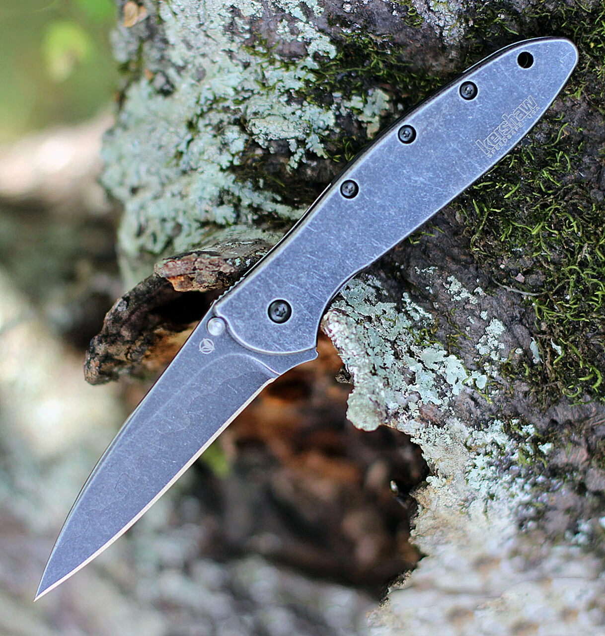 Cheap ✔️ Kershaw Knives Kershaw 1660CBBW Leek 3" Composite Blackwash Blade, 41 Stainless Steel Blackwash Handle ✔️ 1 Cheap ✔️ Kershaw Knives Kershaw 1660CBBW Leek 3" Composite Blackwash Blade, 41 Stainless Steel Blackwash Handle ✔️