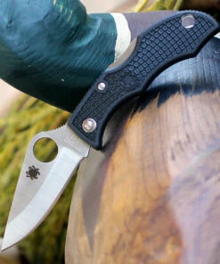 Deals ⭐ Spyderco Knives Spyderco Ladybug 3 Black FRN LBKP3, 1.938" VG-10 Plain Blade 🎉