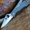 New 💯 Spyderco Knives Spyderco Ladybug 3 Foliage Green FRN LFGP3, 1.938" VG-10 Plain Blade 🔥