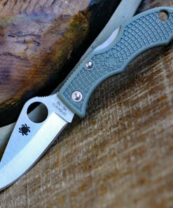 New 💯 Spyderco Knives Spyderco Ladybug 3 Foliage Green FRN LFGP3, 1.938" VG-10 Plain Blade 🔥