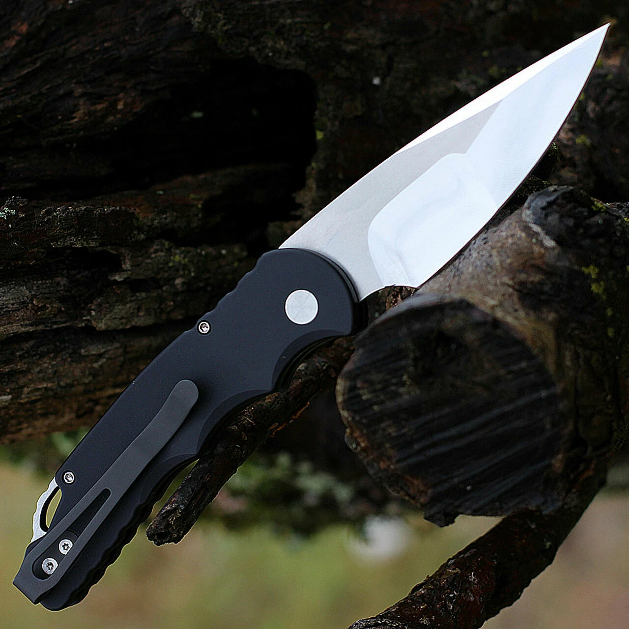 New ⌛ Pro-Tech TR-5 Custom Automatic Blk Alum (3.25" Mirror Compound) T5450 🤩 2 New ⌛ Pro-Tech TR-5 Custom Automatic Blk Alum (3.25" Mirror Compound) T5450 🤩 - Image 2