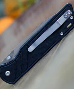 Buy 🛒 QSP Knife Parrot Linerlock QS102A, 3.25" D2 Satin Blade, Black G10 Handle 🎁 -Automatic Knives shop QS102 Black.2 90131.1603806344