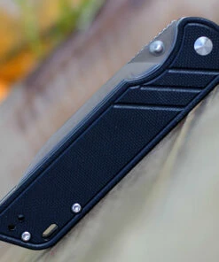 Buy 🛒 QSP Knife Parrot Linerlock QS102A, 3.25" D2 Satin Blade, Black G10 Handle 🎁 -Automatic Knives shop QS102 Black.3 59333.1603806344