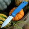 Best reviews of 🛒 QSP Knife Parrot Linerlock QS102D, 3.25" D2 Satin Blade, Blue G10 Handle 🔔