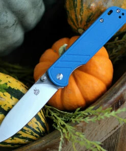 Best reviews of 🛒 QSP Knife Parrot Linerlock QS102D, 3.25" D2 Satin Blade, Blue G10 Handle 🔔