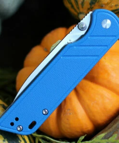 Best reviews of 🛒 QSP Knife Parrot Linerlock QS102D, 3.25" D2 Satin Blade, Blue G10 Handle 🔔 -Automatic Knives shop QS102 Blue.2 51208.1603807280