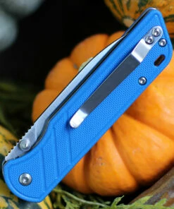 Best reviews of 🛒 QSP Knife Parrot Linerlock QS102D, 3.25" D2 Satin Blade, Blue G10 Handle 🔔 -Automatic Knives shop QS102 Blue.3 42347.1603807280
