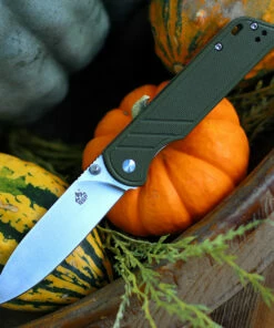 Deals ❤️ QSP Knife Parrot Linerlock QS102B, 3.25" D2 Satin Blade, Green G10 Handle 🤩