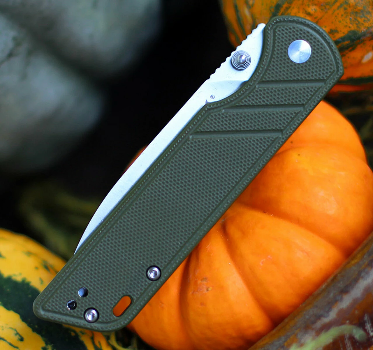 Deals ❤️ QSP Knife Parrot Linerlock QS102B, 3.25" D2 Satin Blade, Green G10 Handle 🤩 3 Deals ❤️ QSP Knife Parrot Linerlock QS102B, 3.25" D2 Satin Blade, Green G10 Handle 🤩 - Image 3