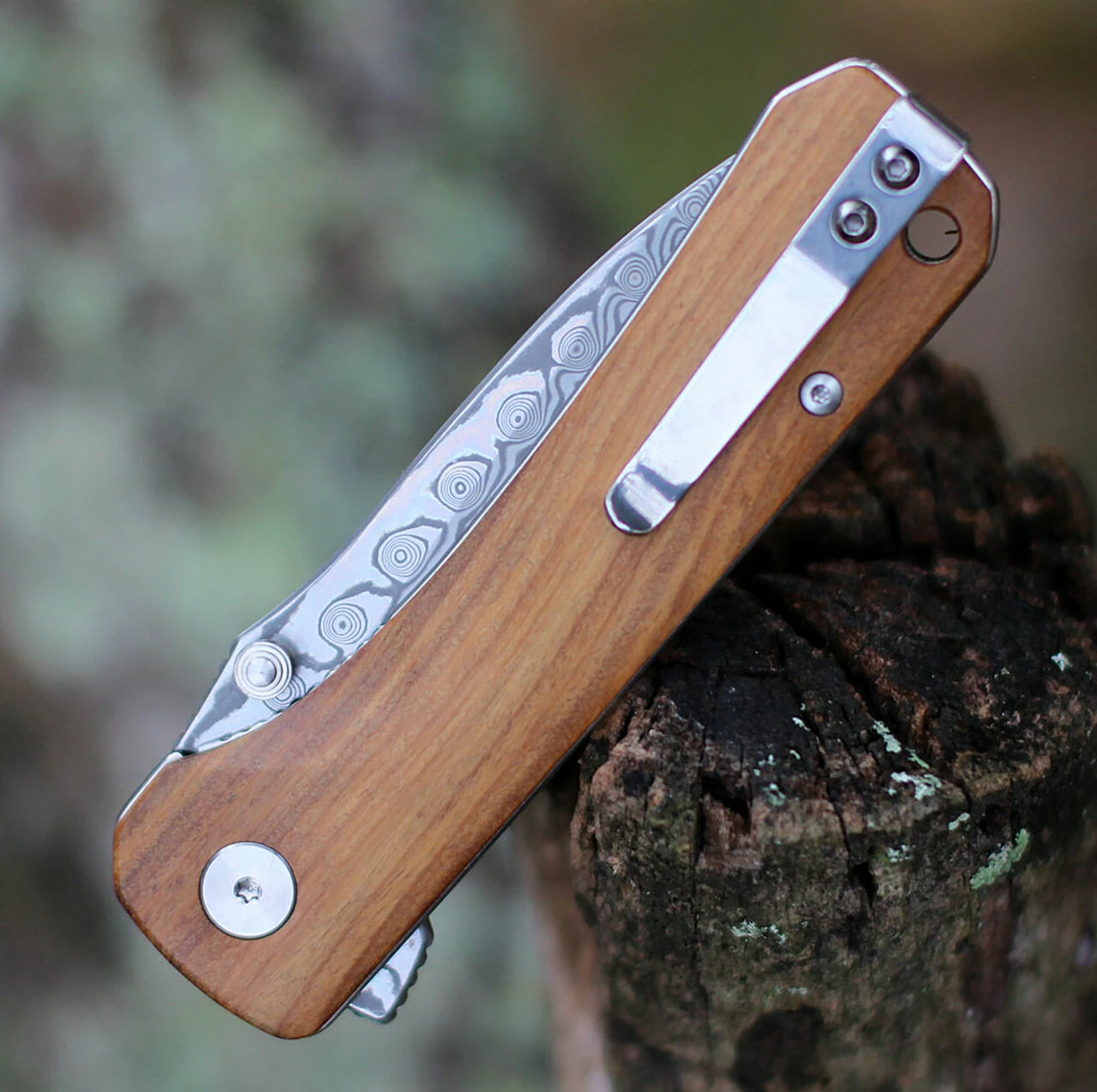 Top 10 🎉 QSP Knife Hawk Linerlock QS131-B, 3.225" Damascus Plain Blade, Verawood Handle ✔️ 4 Top 10 🎉 QSP Knife Hawk Linerlock QS131-B, 3.225" Damascus Plain Blade, Verawood Handle ✔️ - Image 4