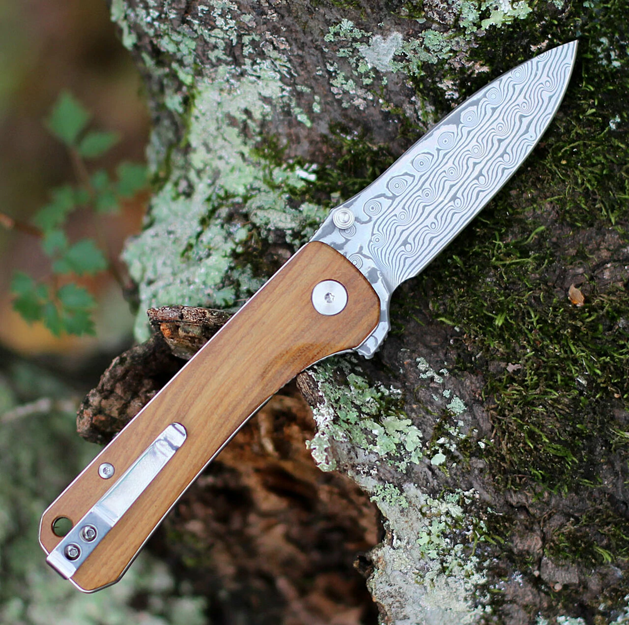 Top 10 🎉 QSP Knife Hawk Linerlock QS131-B, 3.225" Damascus Plain Blade, Verawood Handle ✔️ 2 Top 10 🎉 QSP Knife Hawk Linerlock QS131-B, 3.225" Damascus Plain Blade, Verawood Handle ✔️ - Image 2