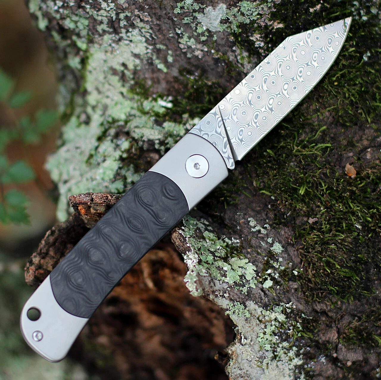 Wholesale 😀 QSP Knife Falcon Slipjoint QS133-A, 3" Damascus Plain blade, Titanium Handle w/ Carbon Fiber Inlay 💯 2 Wholesale 😀 QSP Knife Falcon Slipjoint QS133-A, 3" Damascus Plain blade, Titanium Handle w/ Carbon Fiber Inlay 💯 - Image 2