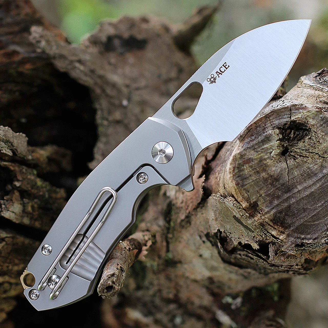 Best reviews of 🤩 GiantMouse ACE Riv Flipper Elmax Stonewashed Titanium Handle ✔️ 2 Best reviews of 🤩 GiantMouse ACE Riv Flipper Elmax Stonewashed Titanium Handle ✔️ - Image 2