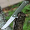 Deals 🛒 Ruike Hussar P121G, 3.62" 14C28N Plain Blade, Army Green G-10 Handle 🛒