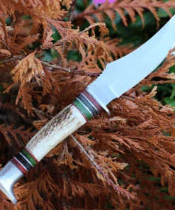Best reviews of 🧨 Rough Ryder Stag Skinner - Red / Green Stag (5" Satin SS) RR2248 😍 -Automatic Knives shop RR2248.1 66049.1634138299