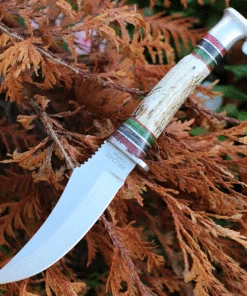 Best reviews of 🧨 Rough Ryder Stag Skinner - Red / Green Stag (5" Satin SS) RR2248 😍